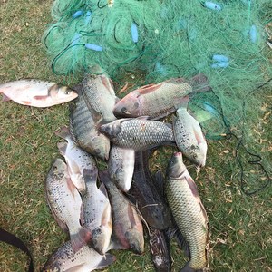 爱渔人鱼网粘网三层渔具丝网挂网捕鱼网鲫鱼沉网浮网渔网沾网新款