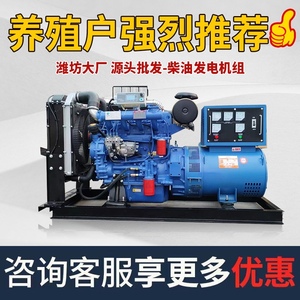 潍坊柴油发电机组30KW40/50/100/150/200/300/500千瓦养殖 带电焊