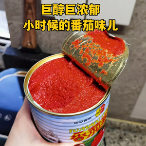 新疆半球红低脂纯番茄酱850g罐装无添加色素罐头家用意面西红柿膏