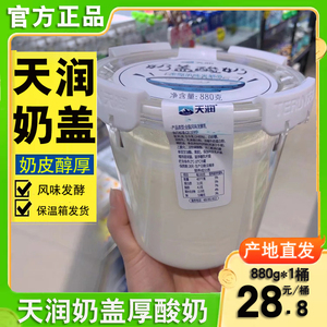 天润酸奶新疆奶盖酸奶圆桶装低温酸奶全脂发酵乳880g*2桶装包邮