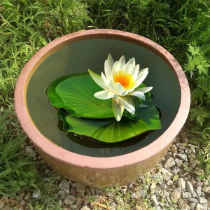 睡莲专用缸盆瓦缸水缸老式土陶庭院造景古法养鱼陶瓷大口室外荷花