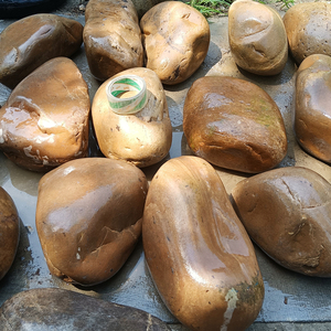 天然水冲石河卵石