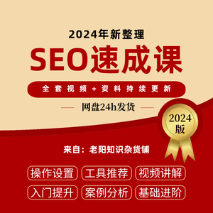 2024网站SEO优化视频教程百度推广培训搜索引擎优化实战课程教学