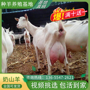 【吐根堡】吐根堡品牌,价格 - 阿里巴巴