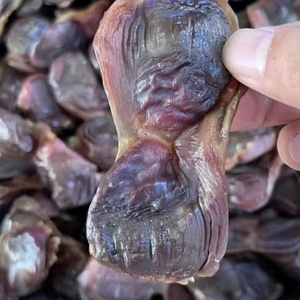 江西特产 赣州大余南安板鸭腊货腊鸭庆鸭胗鸭肾鸭肫腊味鸭庆子