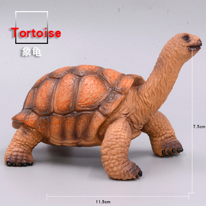 仿真海洋生物模型 象龟  金钱龟  乌龟  模型