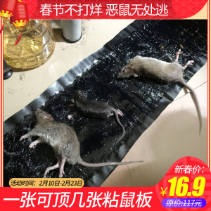 老鼠笼连续捕鼠器_老鼠笼连续捕鼠器价格_老鼠笼连续捕鼠器淘宝天猫货