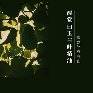 白玉兰叶精油