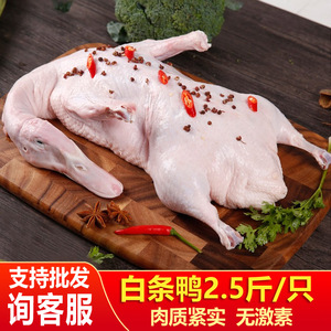 新鲜鸭子整只生冷冻冷冻食品白条土鸭番鸭麻鸭