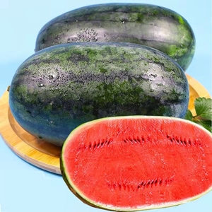 精品应季 越南黑美人 高山山地西瓜很甜 新鲜当季水果薄