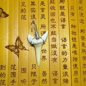 正宗黑赤鱬牙 可做吊坠石碑护身福 七杀格结印单独收费