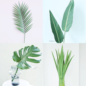 插花配叶|心形尤加利叶配草龟背叶天堂鸟叶花艺师推荐小米花婚礼