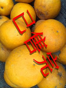 湖北荆州特产酸柑子水柚子胡柚酸甜可口酸甜苦无打腊5斤装