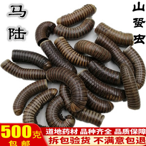 马陆千足虫 山蛩虫 百节虫 马蚰 马蚿 马驩 蚿蛝 马轴500克中药材