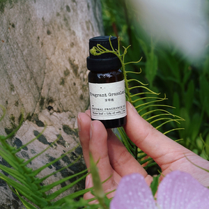芳草地 草木调清新提神香薰精油补充液晶石香氛油扩香专用精油 映