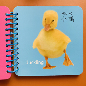 宝宝认知动物卡片实物动物图片早教认物1-2-3岁儿童认图识动物图片