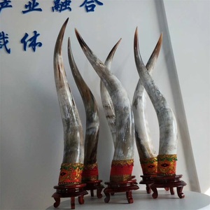 水牛角工艺品非洲水牛角真牛角装饰品摆件