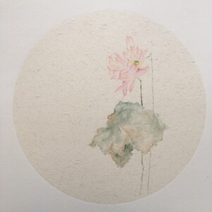 国画禅意荷花手绘