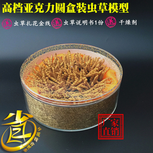 盒装虫草展示模型 冬虫夏草仿真模型礼盒装 200条虫草模型礼盒装
