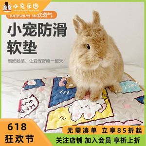 兔笼防滑四季垫子地垫睡垫兔兔龙猫趴趴垫棉质舒适脚垫夏季空调垫