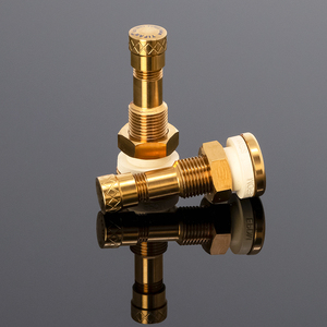 tifan电动车摩托车气门嘴汽车真空胎气嘴新能源轮胎钛合金汽门嘴