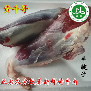 正宗农家散养南阳黄牛肉牛腱子新鲜排酸牛肉生牛肉腱子肉清真6斤