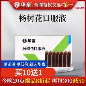 华畜杨树花口服液 兽药兔子牛羊鸡鸭仔猪拉稀痢疾兽用止痢散猪用