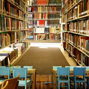 3d立体创意书架延伸视觉空间墙纸书店图书馆直播背景墙布教室壁纸