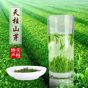 2017清明前新茶 安徽天柱山 天柱香芽茶叶特级生态绿茶罐装礼品盒