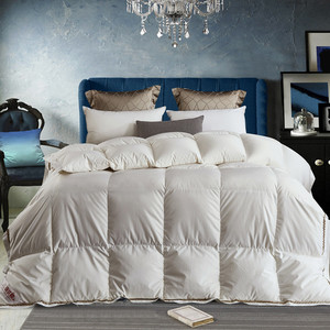 波司登羽绒被95白鹅绒全棉被子春秋被冬被加厚保暖双人单人鸭绒被