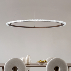 餐厅吊灯北欧服装店办公吧台创意个性设计师样板房环形吊灯2人付款