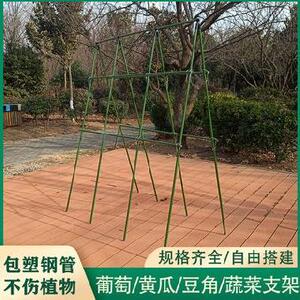 蔬菜爬藤支架豇豆扶植棚架室内外结实固定菜苗蔓藤防锈支撑架攀爬