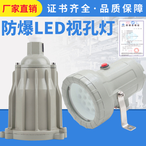 防爆视孔灯BSD96化学容器LED视孔灯12V24V36V220V反应釜视镜灯