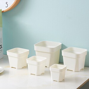 一次性花盆塑料多肉花盆加厚大号圆角磨砂小黑方白色叶插盆栽方盆