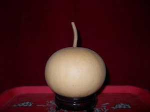 柿子葫芦 扁圆葫芦小苹果葫芦圆葫芦满5个包邮