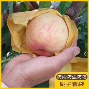 桃子套袋专用袋纸袋袋子防水防虫育果保护袋水蜜桃桃树桃袋防鸟吃