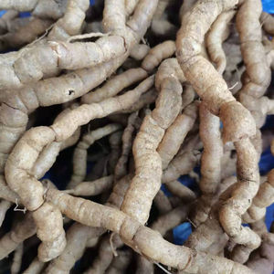 巴戟天生草药泡酒煲汤药膳材料巴吉天新鲜500克