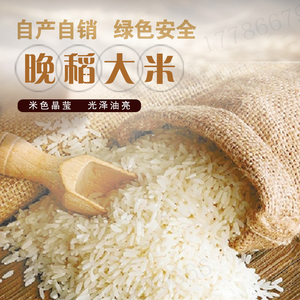 桃优香占桃花香米2021新上市纯晚稻大米自产自销十斤一袋快递包邮