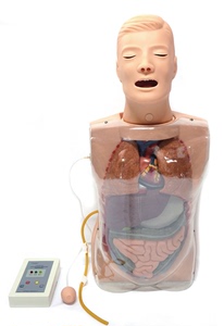 多功能透明洗胃训练模型 透明胃镜检查培训 气管插管吸痰模拟人