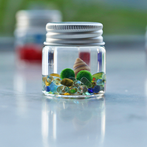 海藻球marimo生态瓶微景观创意迷你绿植桌面办公室学生小礼物摆件
