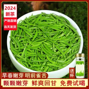 雀舌绿茶2024新茶盒装散装雪芽500g明前毛尖翠芽四川竹叶炒青茶叶