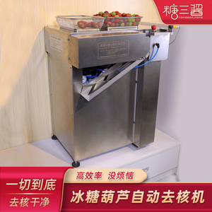网红迷你小串糖葫芦专用电动全自动数控山楂去核机器商用神器工具