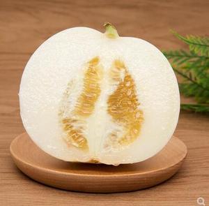 水果新鲜温州灵昆甜瓜非羊角蜜瓜现摘现发香瓜阎良小白瓜10斤