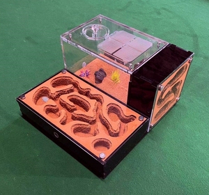 44江讯旗舰店天猫蚂蚁窝 蚁巢