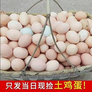 【40枚装】农家散养正宗大个土鸡蛋10-40枚新鲜笨鸡蛋整箱包邮