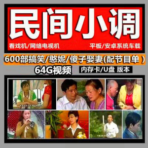 64g优盘民间小调视频u盘民间搞笑剧情欢乐小调tf卡内存卡mp4全剧