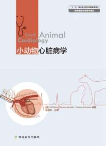 小动物心脏