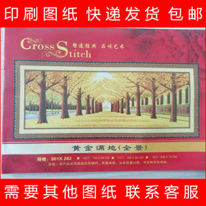 黄金满地图纸
