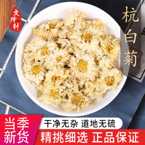 中药材店铺 特级新货杭白菊泡茶泡水浙江桐乡正宗杭白菊菊花50g