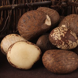 天然象牙果原果菩提子原籽空心超大果大白风化黄料实心料迷你小果